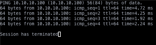 Ping Output